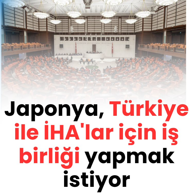 Japonya, Türkiye ile İHA'lar için iş birliği yapmak istiyor