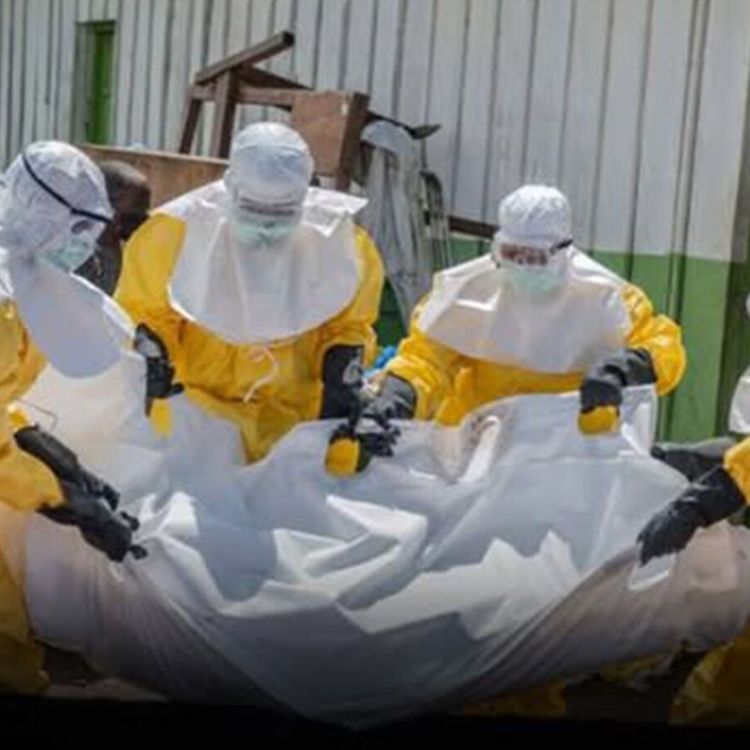 Kongo'da Ebola salgını krizi devam ediyor!