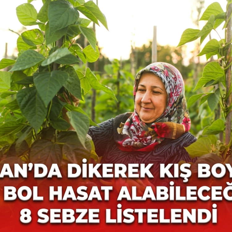 Haziran’da dikerek kış boyunca bol bol hasat alabileceğiniz 8 sebze