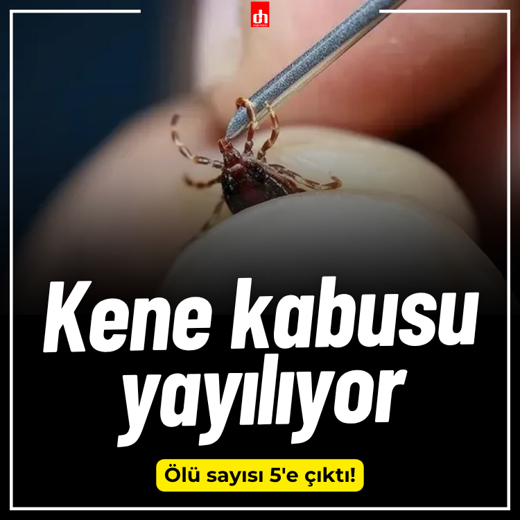 Kene kabusu yayılıyor! Ölü sayısı 5'e çıktı!