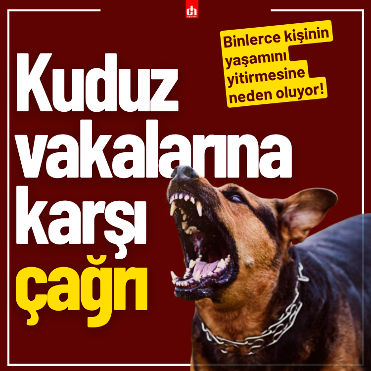Kuduz vakalarına karşı uzmanlardan çağrı
