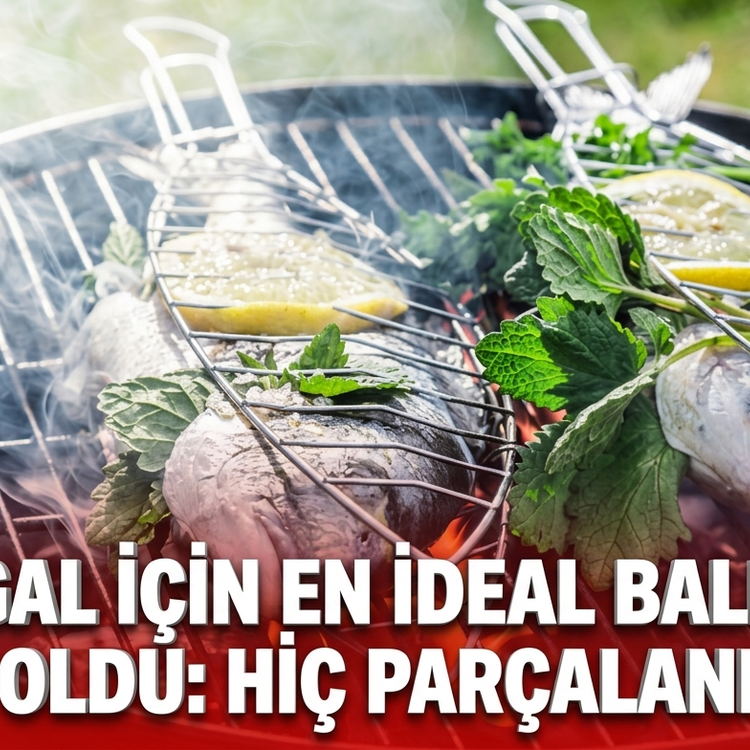 Mangal için en ideal balıklar belli oldu: Hiç parçalanmıyor