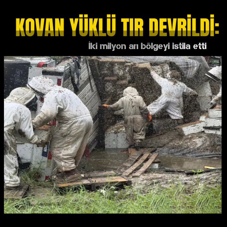 Kovan yüklü tır devrildi: İki milyon arı bölgeyi istila etti!