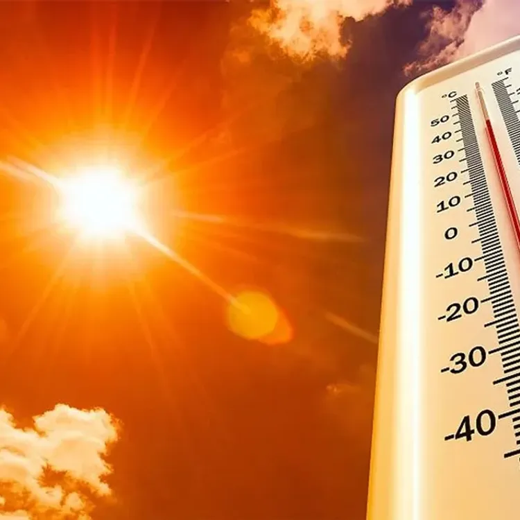 Almanya’da sıcaklardan dolayı etkinlikler iptal edildi!