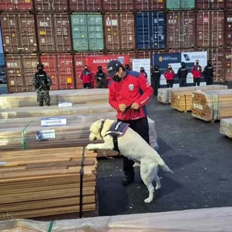Kerestelerin içine gizlenmiş 100 tondan fazla uyuşturucu yakalandı!