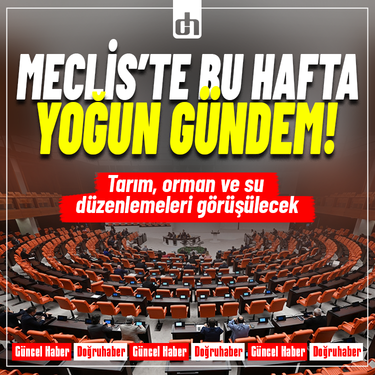TBMM'de bu hafta tarım, orman ve su düzenlemeleri görüşülecek