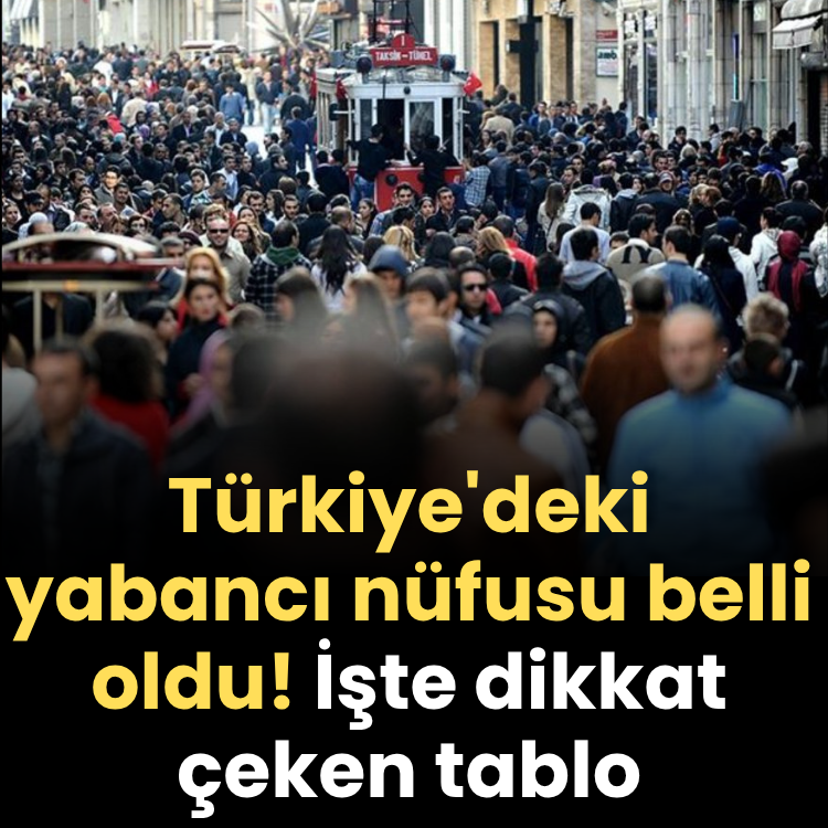 Türkiye'deki yabancı nüfusu belli oldu! İşte dikkat çeken tablo