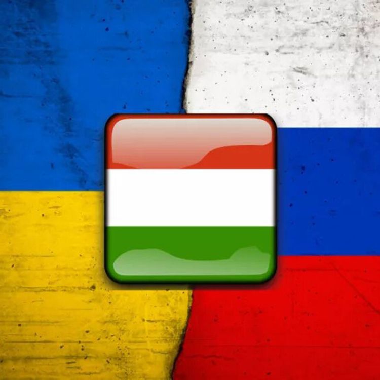 Macaristan: Ukrayna'ya silah göndermeme politikamız değişmedi!