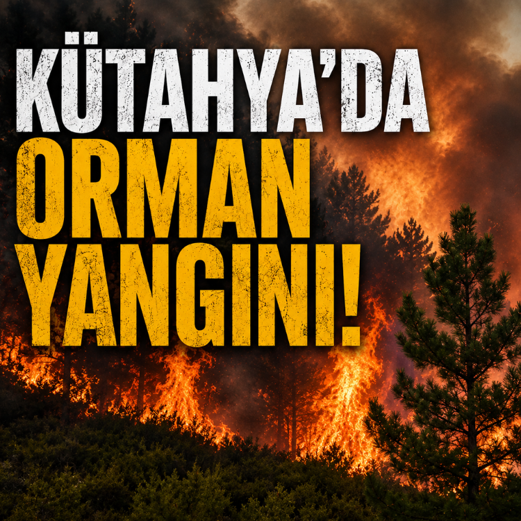 Kütahya'da orman yangını