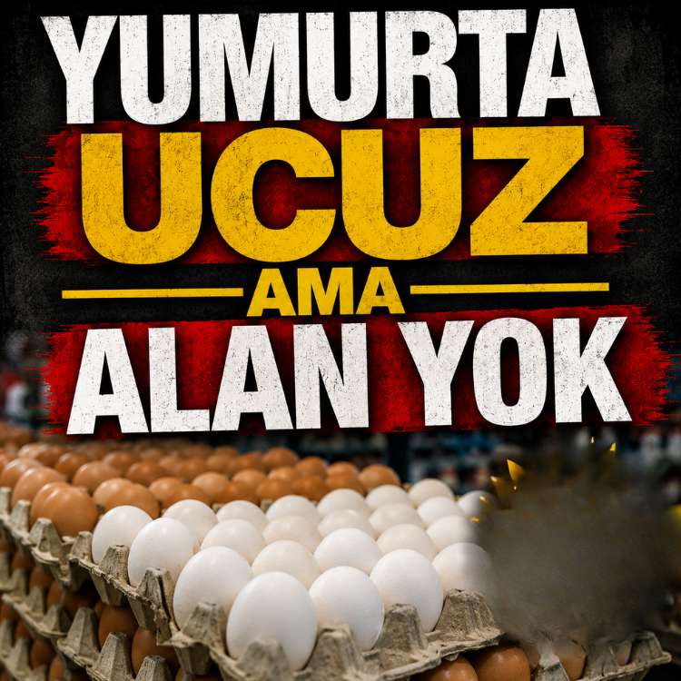 Yumurta ucuz ama alan yok