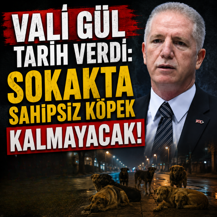 Vali Gül tarih verdi: Sokakta sahipsiz köpek kalmayacak