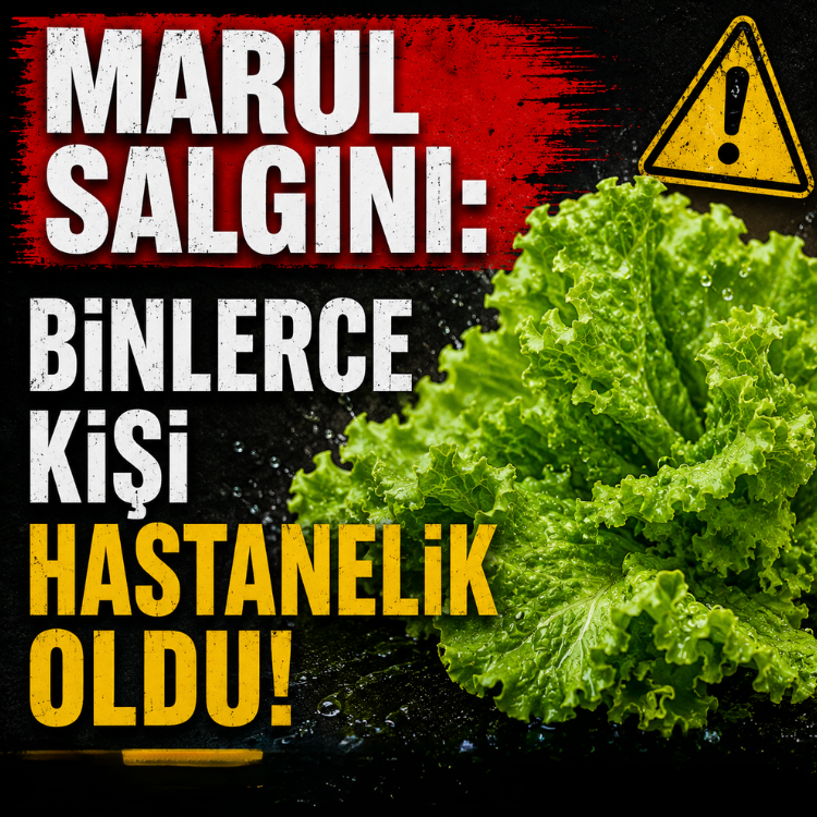 Marul salgını: Binlerce kişi hastanelik oldu