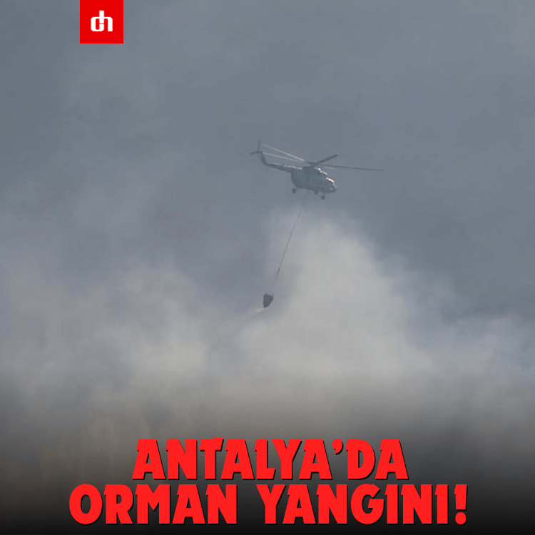 Antalya’da orman yangını!
