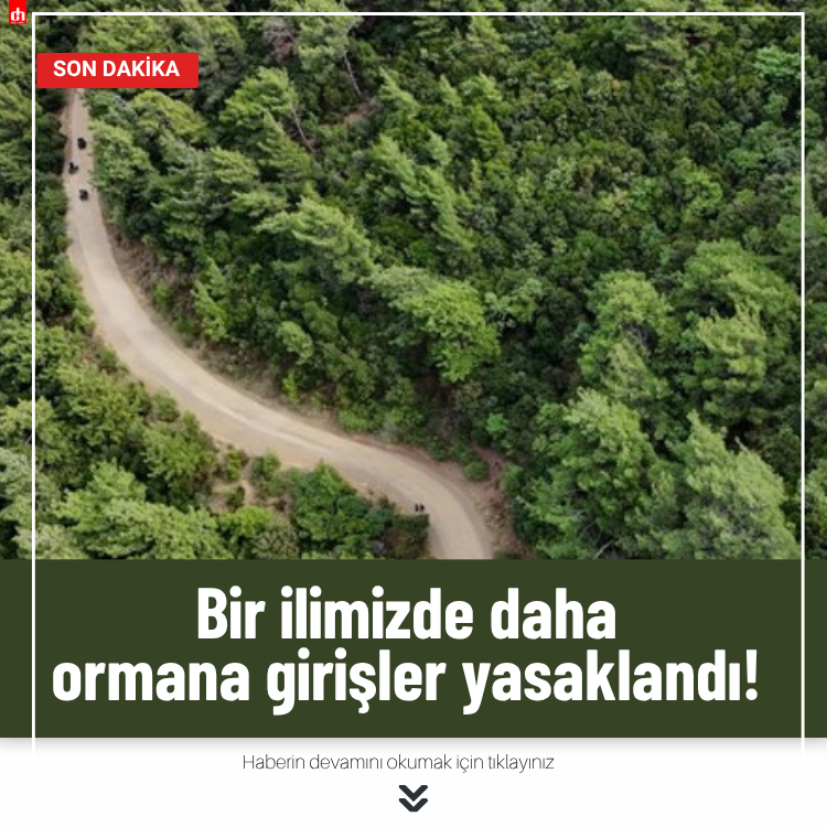 Bir ilimizde daha ormanlık alanlara girişler yasaklandı