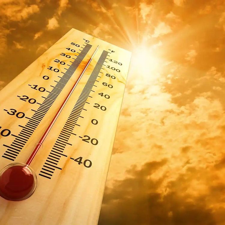 Belçika'da sıcak hava dalgası can kayıplarını artırdı