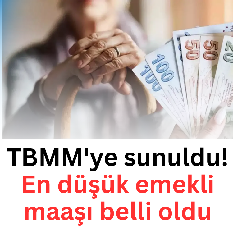 TBMM'ye sunuldu! En düşük emekli maaşı belli oldu