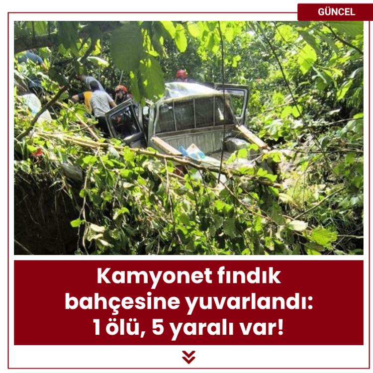 Kamyonet fındık bahçesine yuvarlandı: 1 ölü, 5 yaralı var!