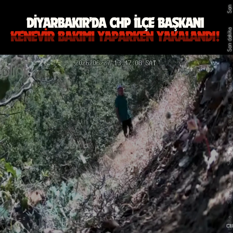 Diyarbakır'da CHP İlçe Başkanı kenevir bakımı yaparken yakalandı!