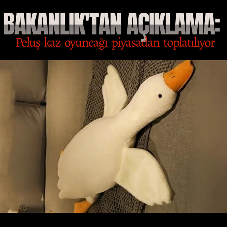 Bakanlık'tan açıklama: Peluş kaz oyuncağı piyasadan toplatılıyor