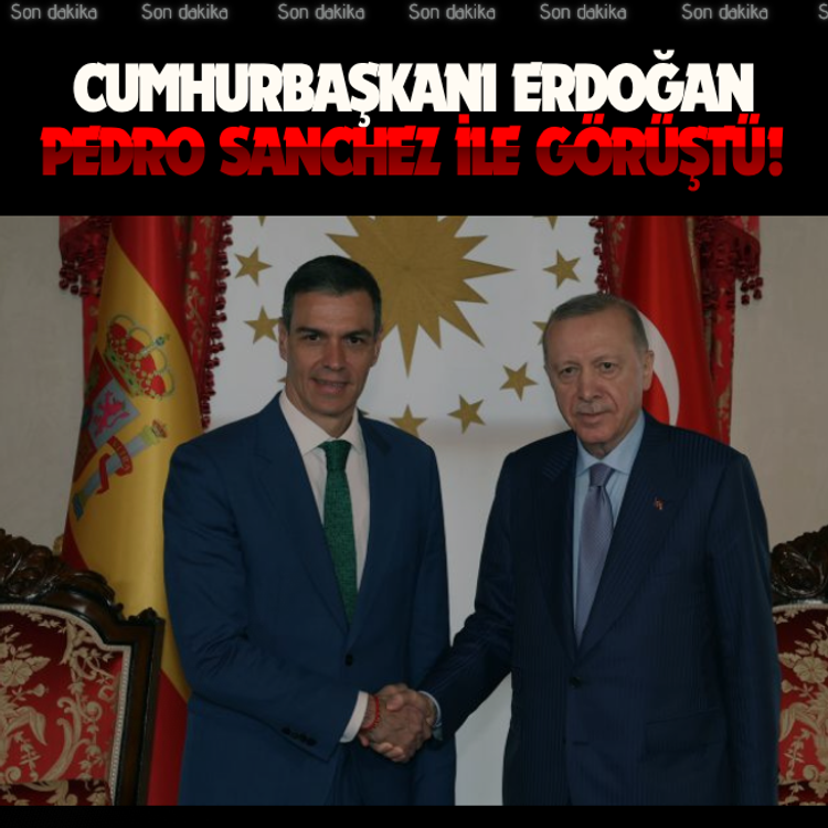 Cumhurbaşkanı Erdoğan, Pedro Sanchez ile görüştü!