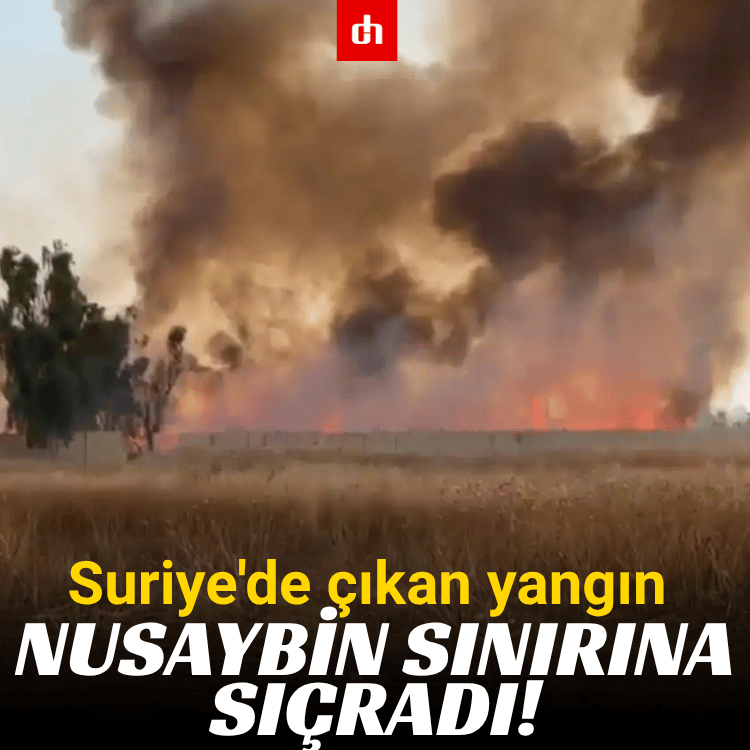 Suriye'de çıkan yangın Nusaybin sınırına sıçradı!