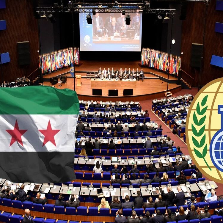Kimyasal silah dosyasında Suriye'nin oy hakları iade edildi!