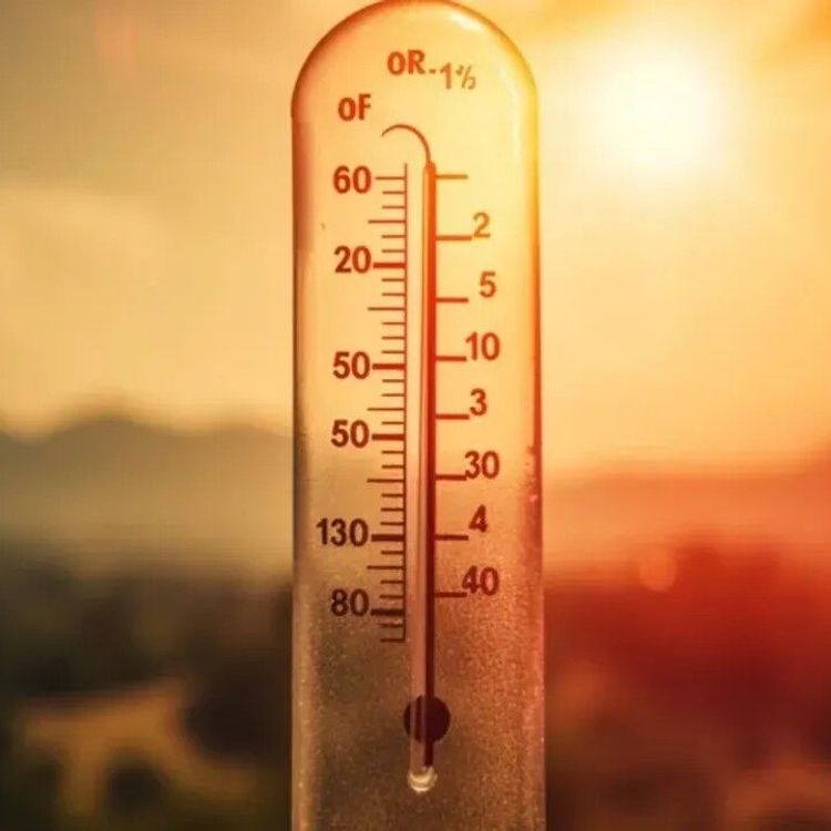 Türkiye’de son 75 yılın en şiddetli sıcak hava dalgaları kaydedildi!