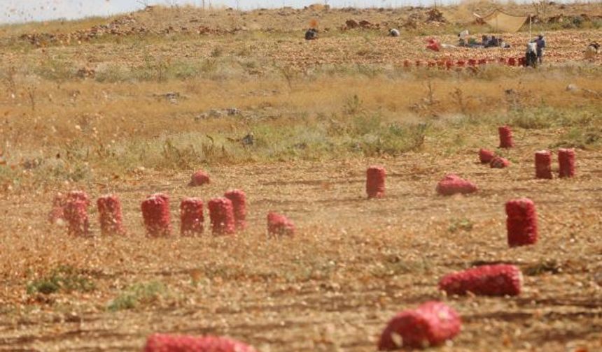 Çiftçiler: Kaçak elektrik kullanmayanlar kullananlardan etkileniyor