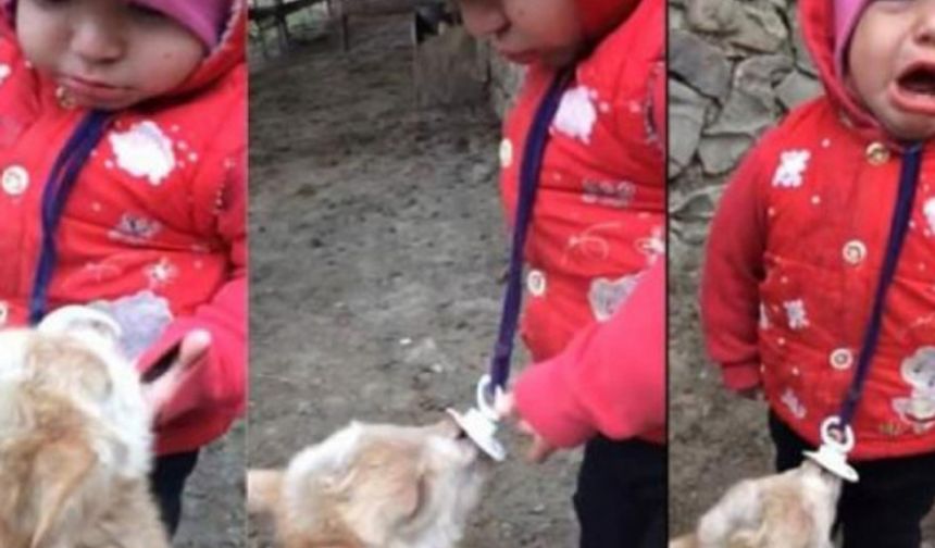 Ağrı`da bebek ile keçi yavrusu gülümsetti