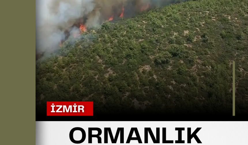 Gazze'deki Avrupa Hastanesi çevresine yoğun saldırı!