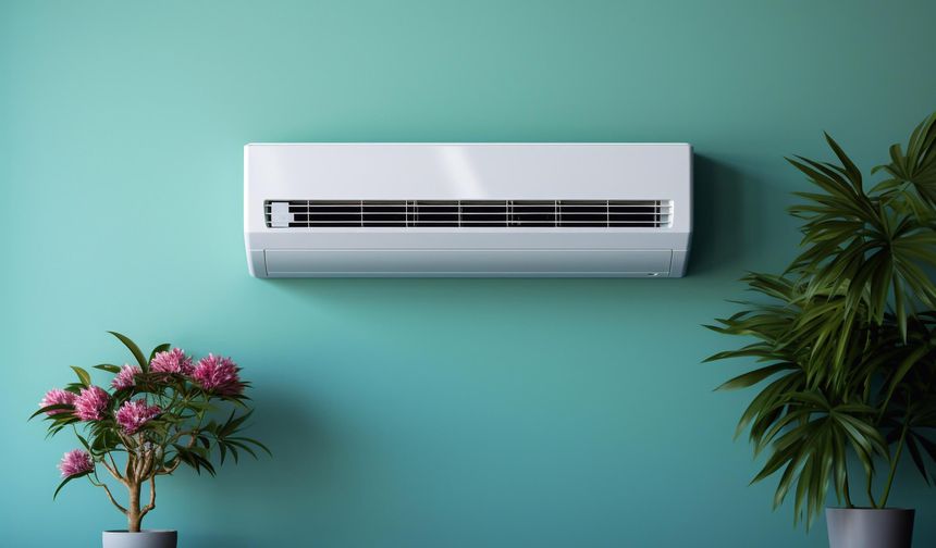 Klimadan yayılan hastalık: 5 kişi öldü, çok sayıda kişi hastanelik oldu