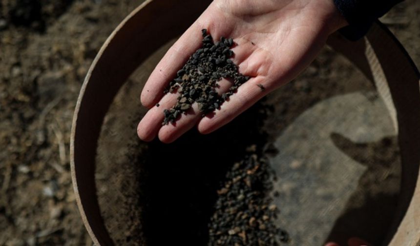 Höyükte yapılan kazılarda 5 bin yıllık arpa taneleri bulundu