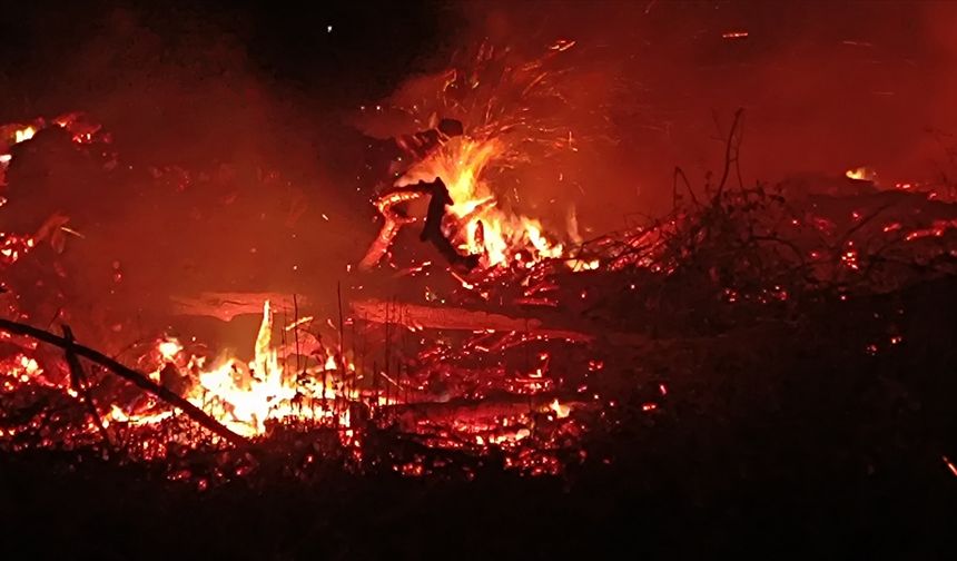 Bilecik'te arazide çıkan yangın söndürüldü