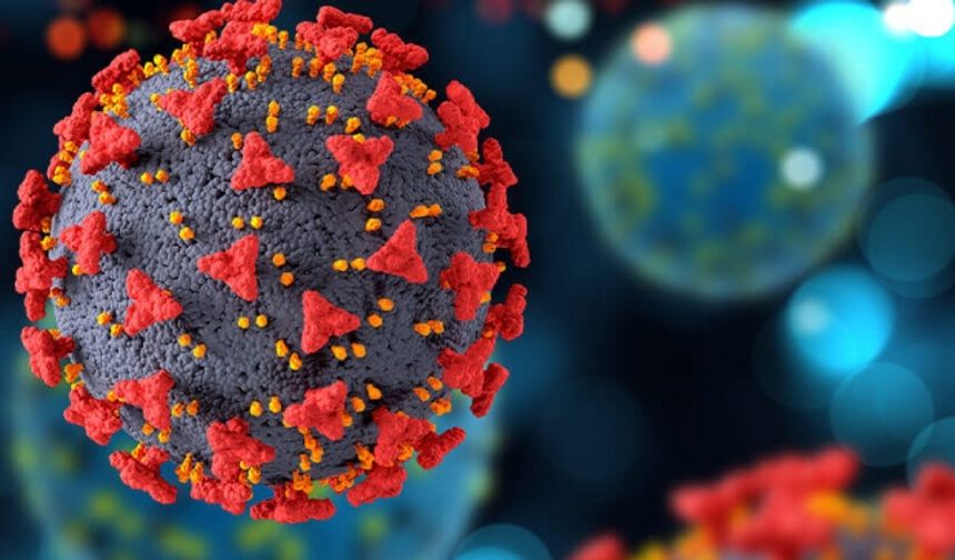 Uzman isim rotavirüsten korunmanın yollarını anlattı