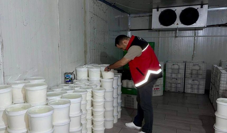 Yüzlerce kilo peynir imha edildi