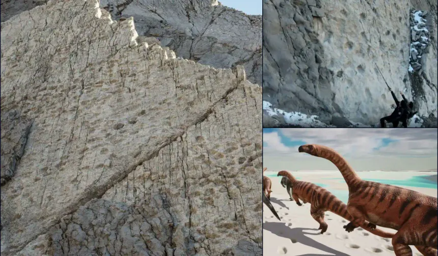 200 milyon yıllık tarihi keşif: Binlerce dinozor ayak izi dikey kayalarda ortaya çıktı