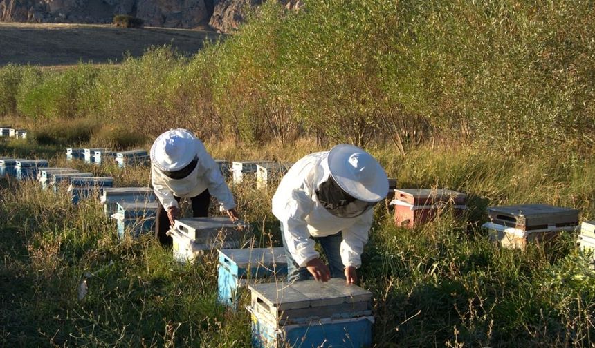 Arıcılıkta yeni gelişme: Mesleki standart geliyor