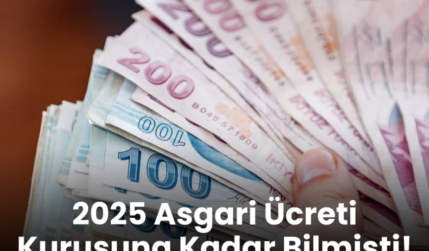 2025 Asgari Ücreti Kuruşuna Kadar Bilmişti! Dev Bankadan 2026 Asgari Ücret Tahmini