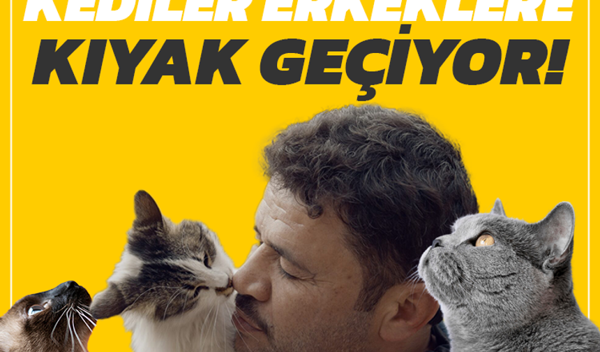 Araştırma ortaya koydu: Kediler erkekleri selamlarken daha fazla miyavlıyor!