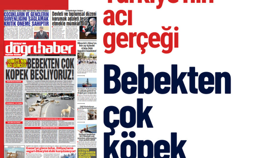 Türkiye’nin Acı Gerçeği: Bebekten Çok Köpek Besliyoruz!