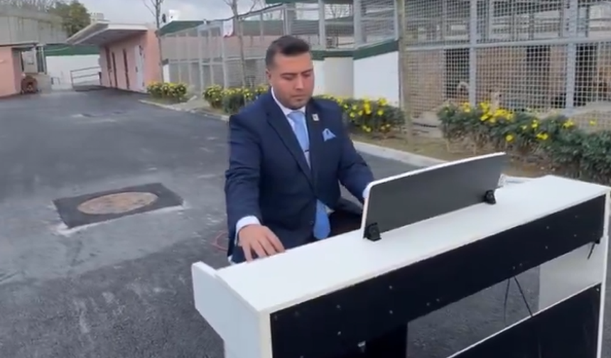 Fatih Belediyesi'nden skandal: Barınaktaki köpeklere piyano resitali!