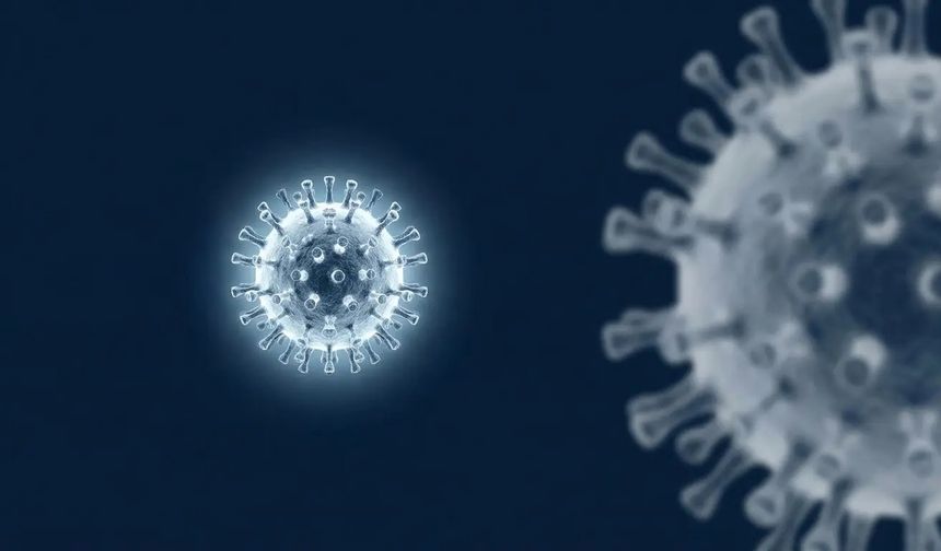 Uzmanlar uyardı: H3N2 Türkiye'de yayılıyor