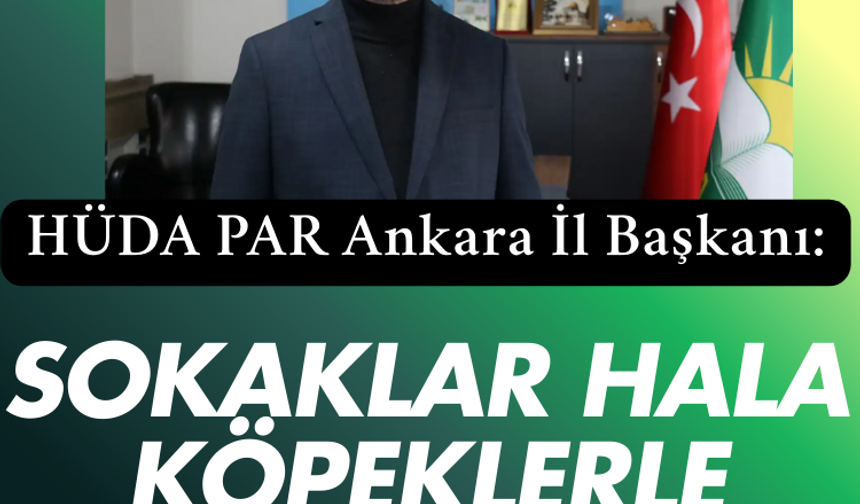 HÜDA PAR Ankara İl Başkanı: Sokaklar hala köpeklerle dolu