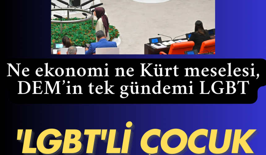 DEM'in tek gündemi  'LGBT': Diyarbakırlılara sorun, 'LGBT'li çocuk mu olur?
