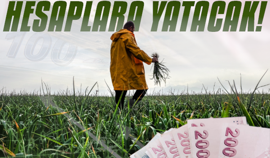 Tarımsal destek ödemeleri hesaba yatırılacak!