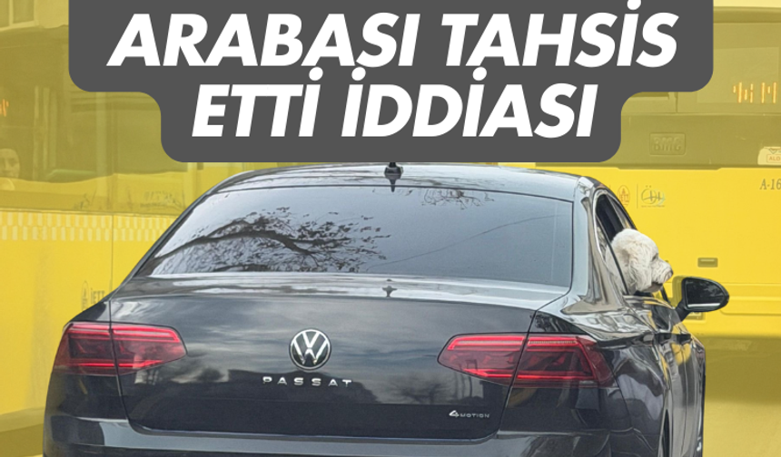 CHP'li belediye köpeğe makam arabası tahsis etti iddiası