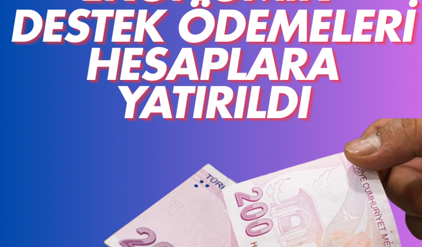 Sosyal ve Ekonomik Destek ödemeleri hesaplara yatırıldı