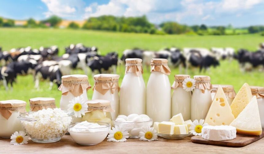 Toplanan inek sütü azaldı