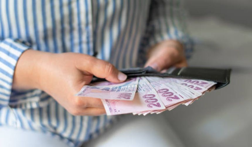 Türkiye'de yıl yıl asgari ücret rakamları - 2011'den 2024'e kadar