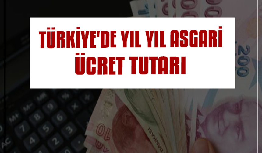 Türkiye'de yıl yıl asgari ücret rakamları - 2011'den 2024'e kadar